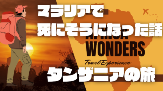 タンザニア～マラリアで死にそうになった話～