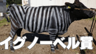 イグノーベル賞19年連続受賞から見る日本人の「多様性」