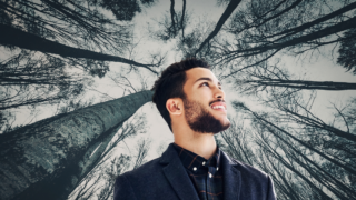 「自己資金」をつくり時間をかけて大木に育てていく